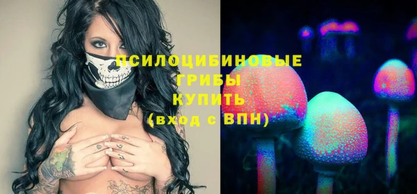 СК Навашино