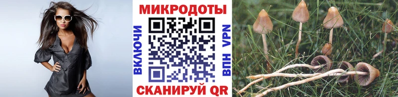 Галлюциногенные грибы GOLDEN TEACHER  Купить закладки  Плёс 